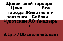Щенок скай терьера › Цена ­ 20 000 - Все города Животные и растения » Собаки   . Чукотский АО,Анадырь г.